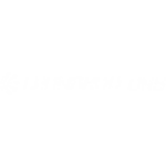 leonardo-drs